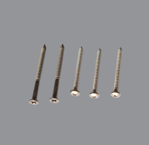 SS SCREWS